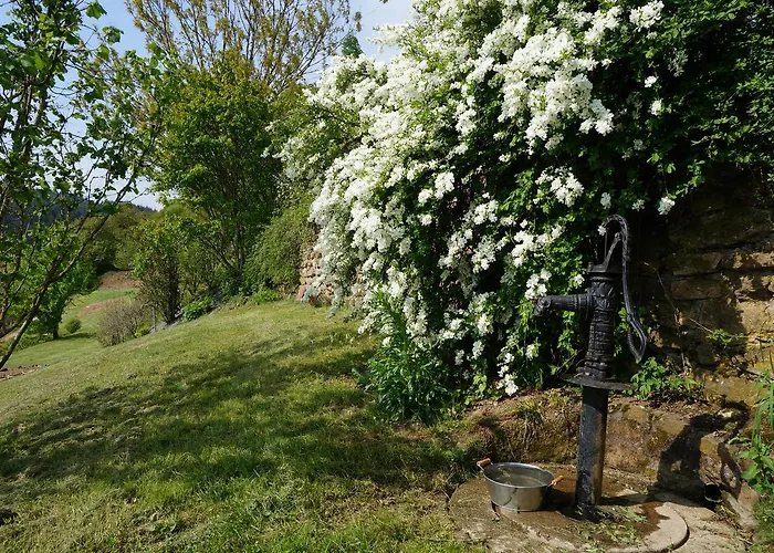Du Thiollet Bed & Breakfast Montromant
