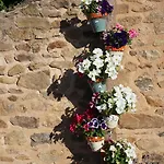 Du Thiollet