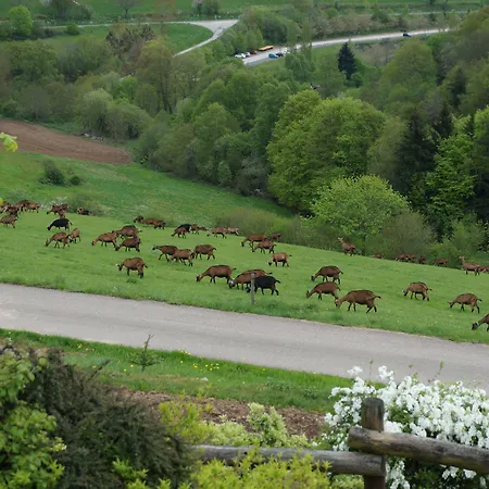 Du Thiollet 3* Montromant