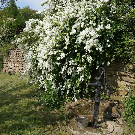 Du Thiollet Bed and Breakfast