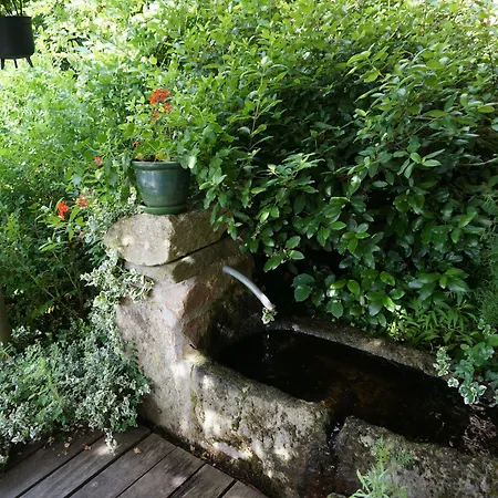 Du Thiollet Montromant