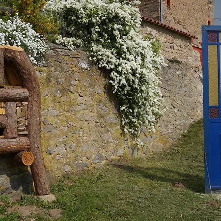 Du Thiollet